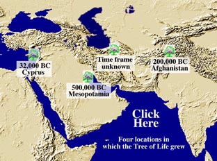 The Tree of Life Locations