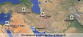 Map 5 locations for Tree of Life