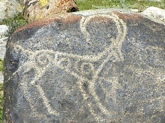 ibex rock art